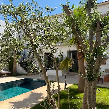 Bed & Breakfast La Maison De - Piscine - Sete